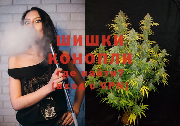 гашик Алексеевка