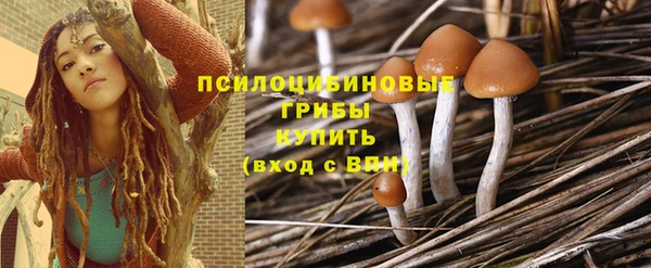 гашик Алексеевка