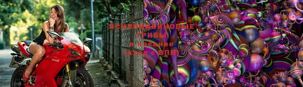 винт Алзамай