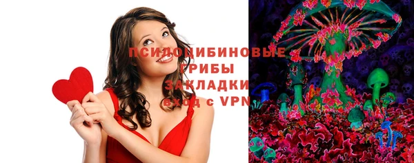 винт Алзамай
