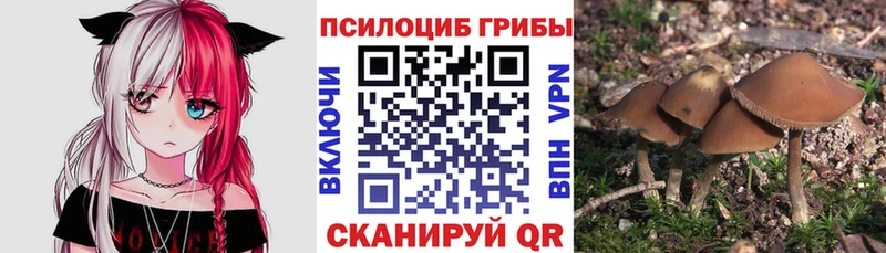 гидра как зайти Ахтырский Псилоцибиновые грибы мицелий